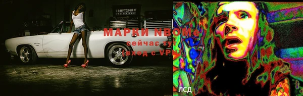 ПСИЛОЦИБИНОВЫЕ ГРИБЫ Абаза