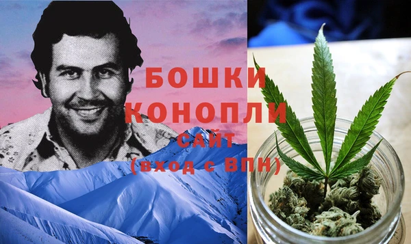 ПСИЛОЦИБИНОВЫЕ ГРИБЫ Абаза