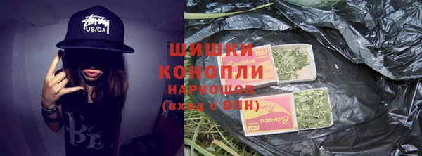 ПСИЛОЦИБИНОВЫЕ ГРИБЫ Абаза